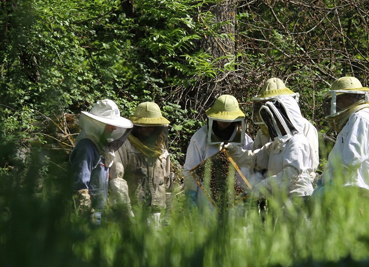 Les classes vertes en images