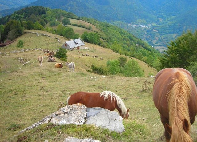 Séjour Montagne Adulte