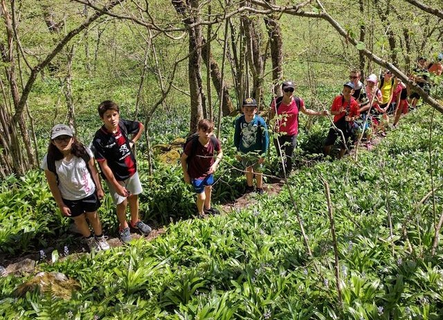 Séjours sportifs scolaires en images