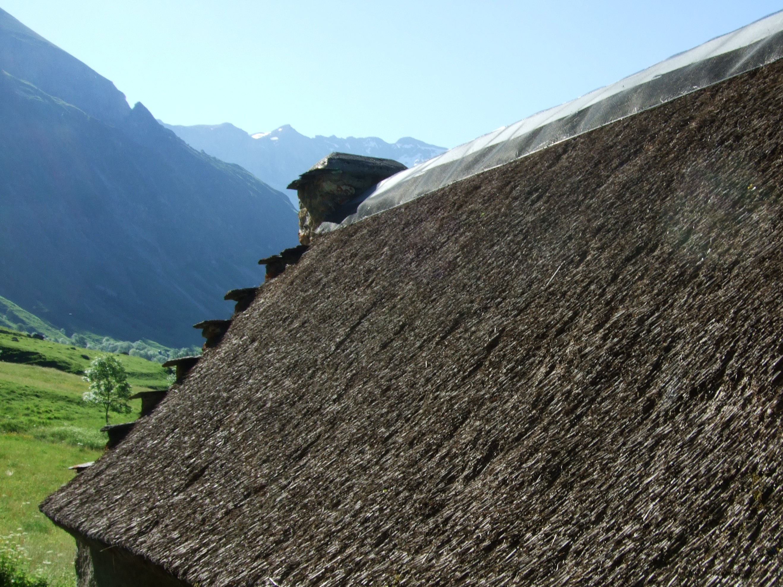 Le milieu Montagnard