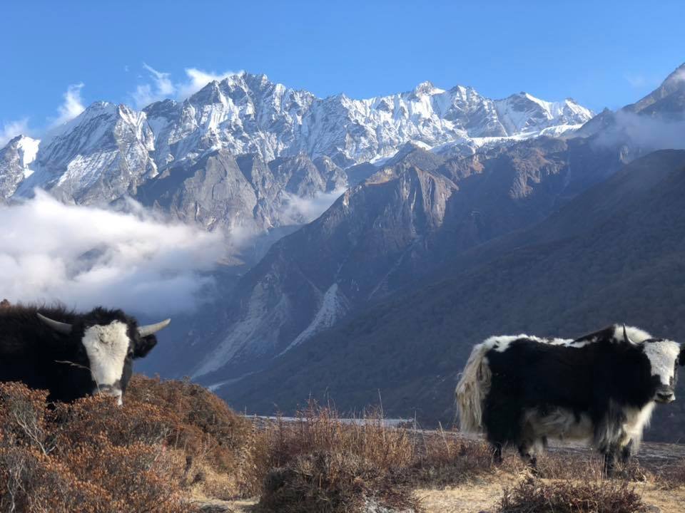 Langtang