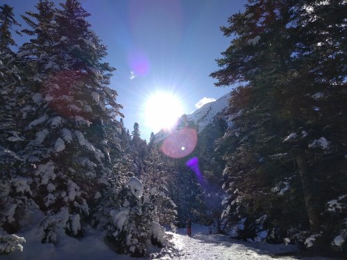 Des super conditions de neige !