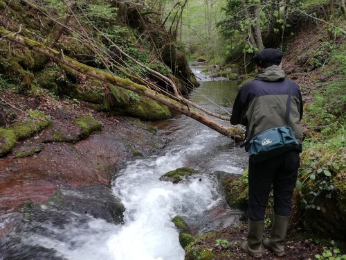 Séjour Pêche à la truite !