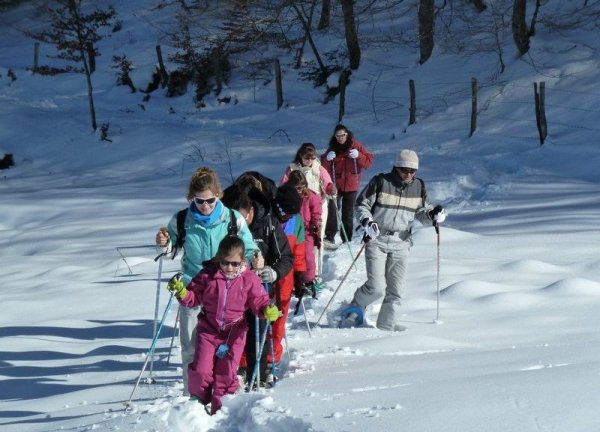 Raquettes à neige