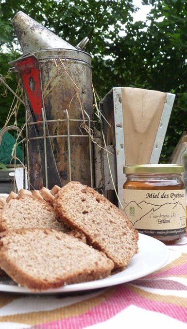 Les classes vertes en images